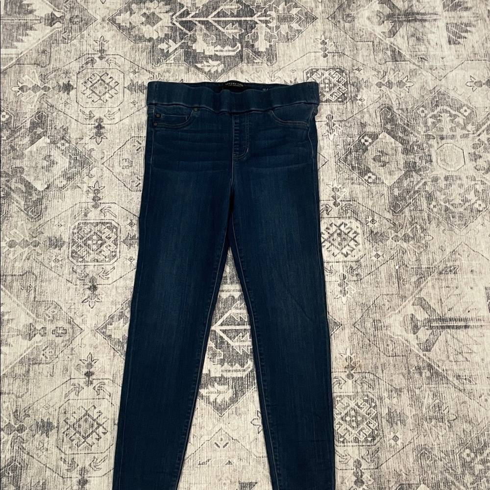 Liverpool Jeans Company Deep Blue Women's Jeggings